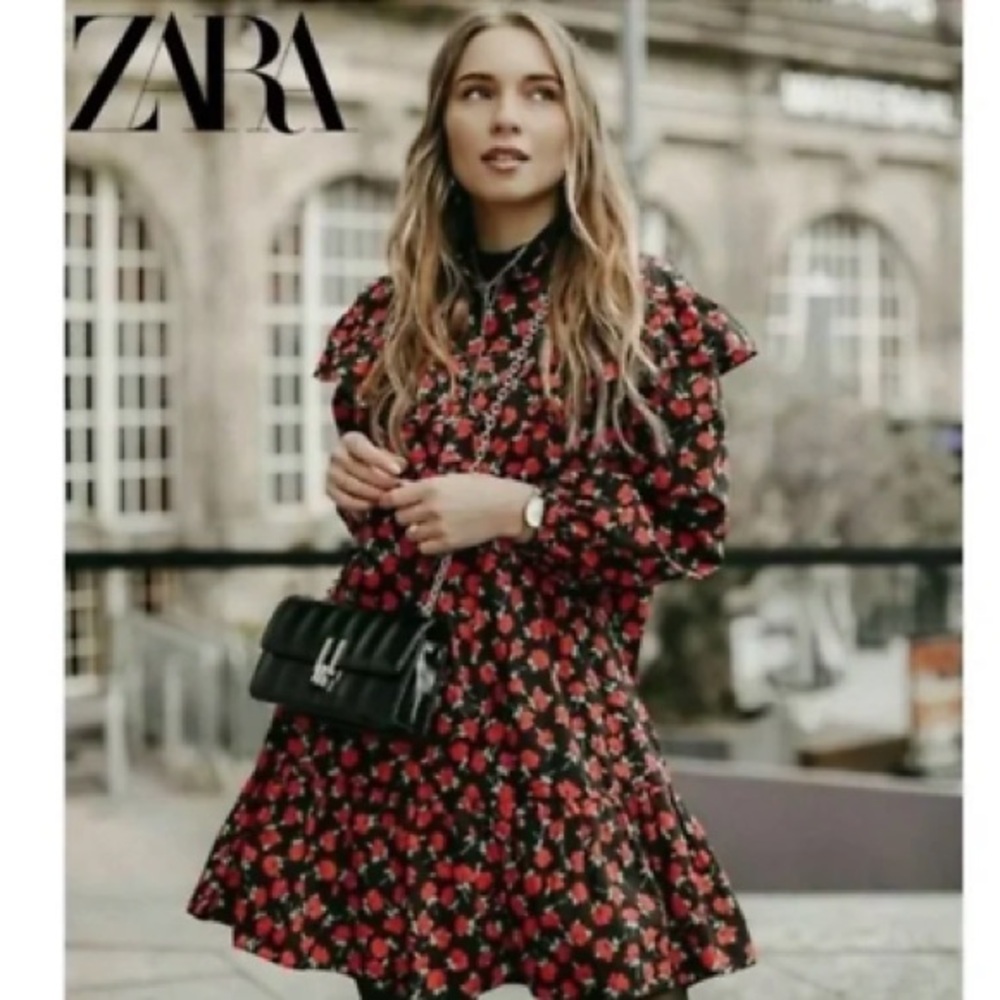Zara floral long sleeve dress